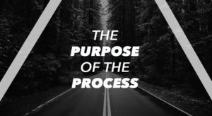 The Purpose of the Process