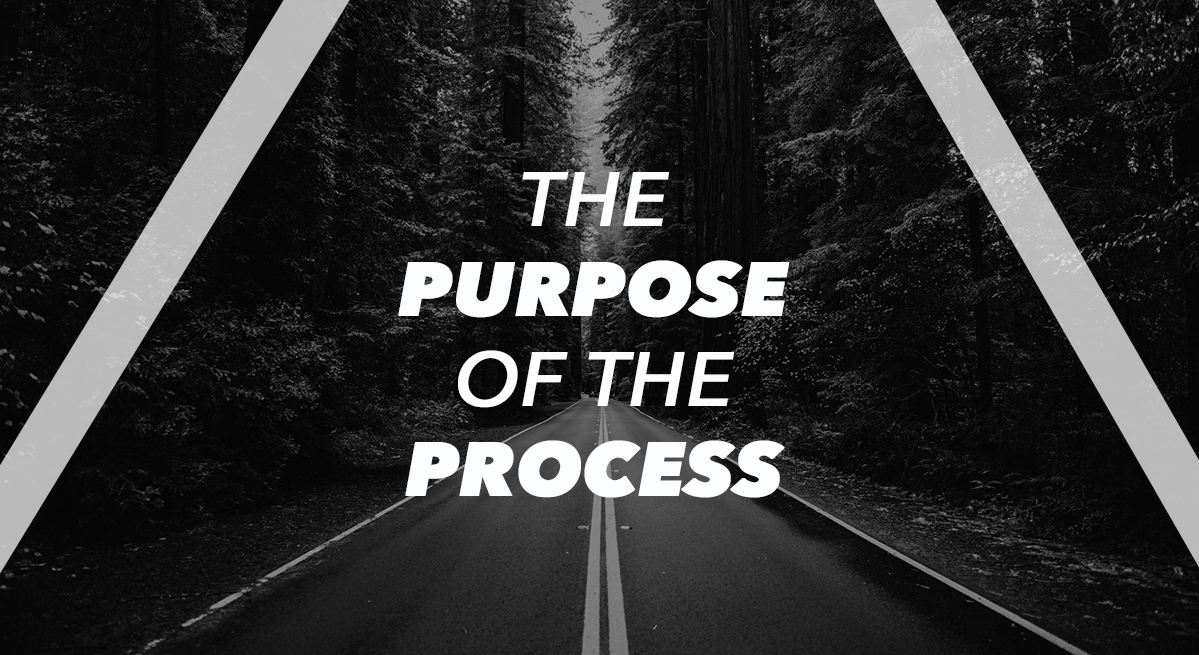 The Purpose of the Process